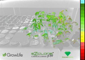 GrowLife, Inc. Partners with Cannabis Technology Company, Emerald Metrics